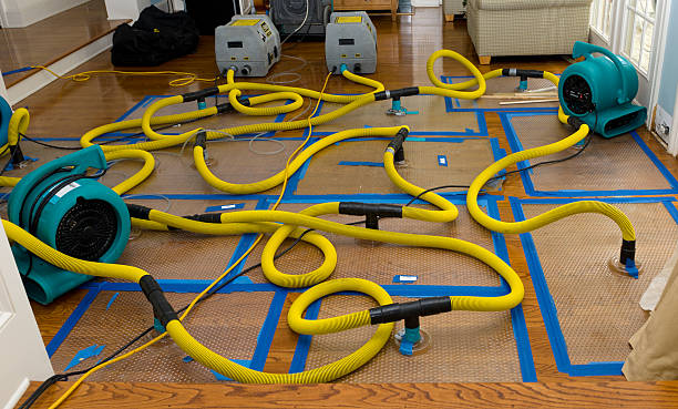 Professional Burst Pipe Water Damage technician working in Metamora, MI